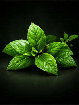 Mint